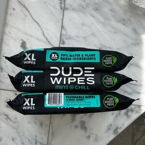 NWT 3-Pack of Dude Wipes Mint Chill Flushable Wipes